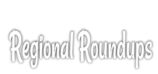 Logo for Armed Women of America Regional Roundups